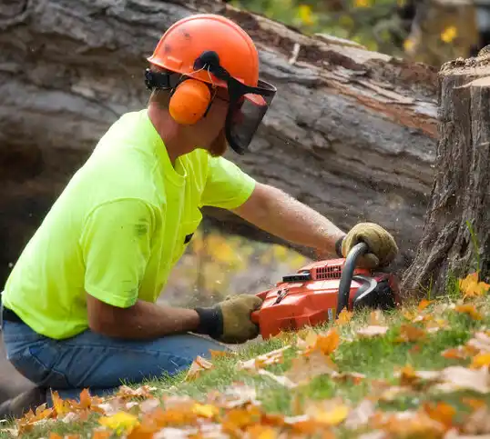 tree services Jonesville